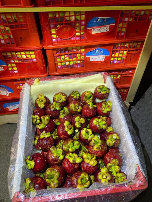 Indonesian Premium 6A Mangosteen-7.5kg - Image 2
