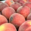 Australia White Peach-20pcs
