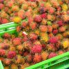 Rambutan-6kg - Image 5