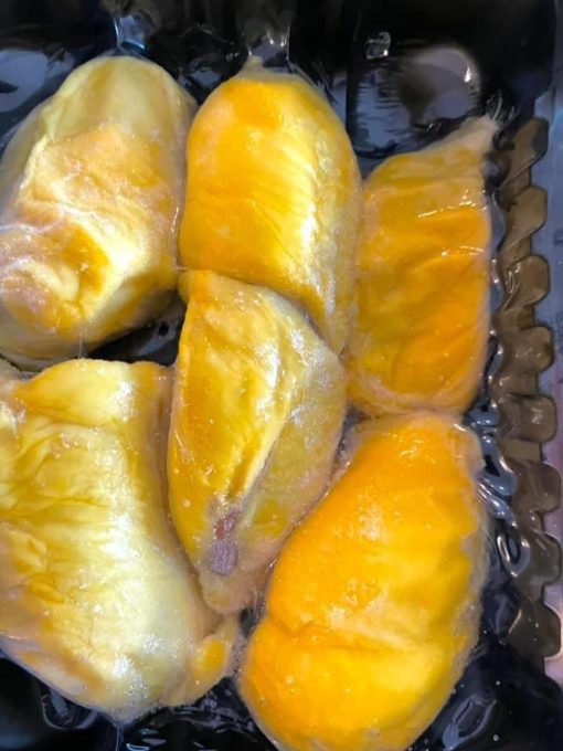 A6 Pahang Mao Shan Wang / Musang King (MSW) - Image 3