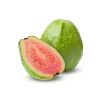 Guava - pink-3kg - Image 2