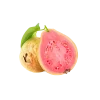 Guava - pink-3kg - Image 3