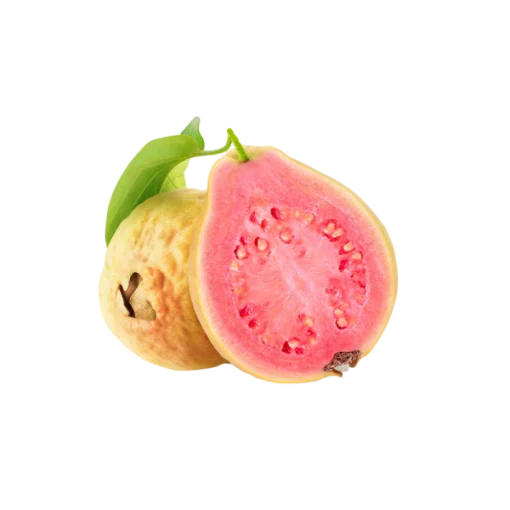 Guava - pink-3kg - Image 3