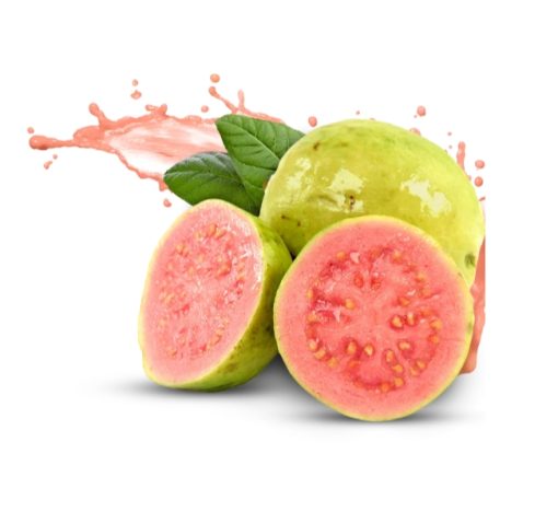 Guava - pink-3kg - Image 6
