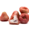 Rose apple-20pcs