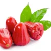 Rose apple-20pcs - Image 4