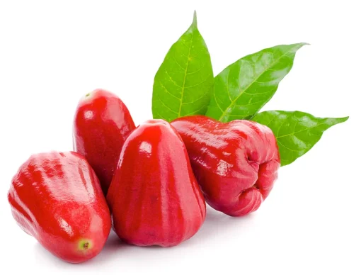Rose apple-20pcs - Image 4