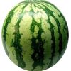 Malaysia Watermelon (Jumbo)(Grade A)-3pcs - Image 4