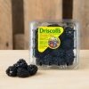 Driscoll's Blackberries Mures-10xApprox.125g - Image 4
