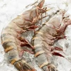 Extra large black tiger prawns, sent live frozen-32 pcs - Image 4
